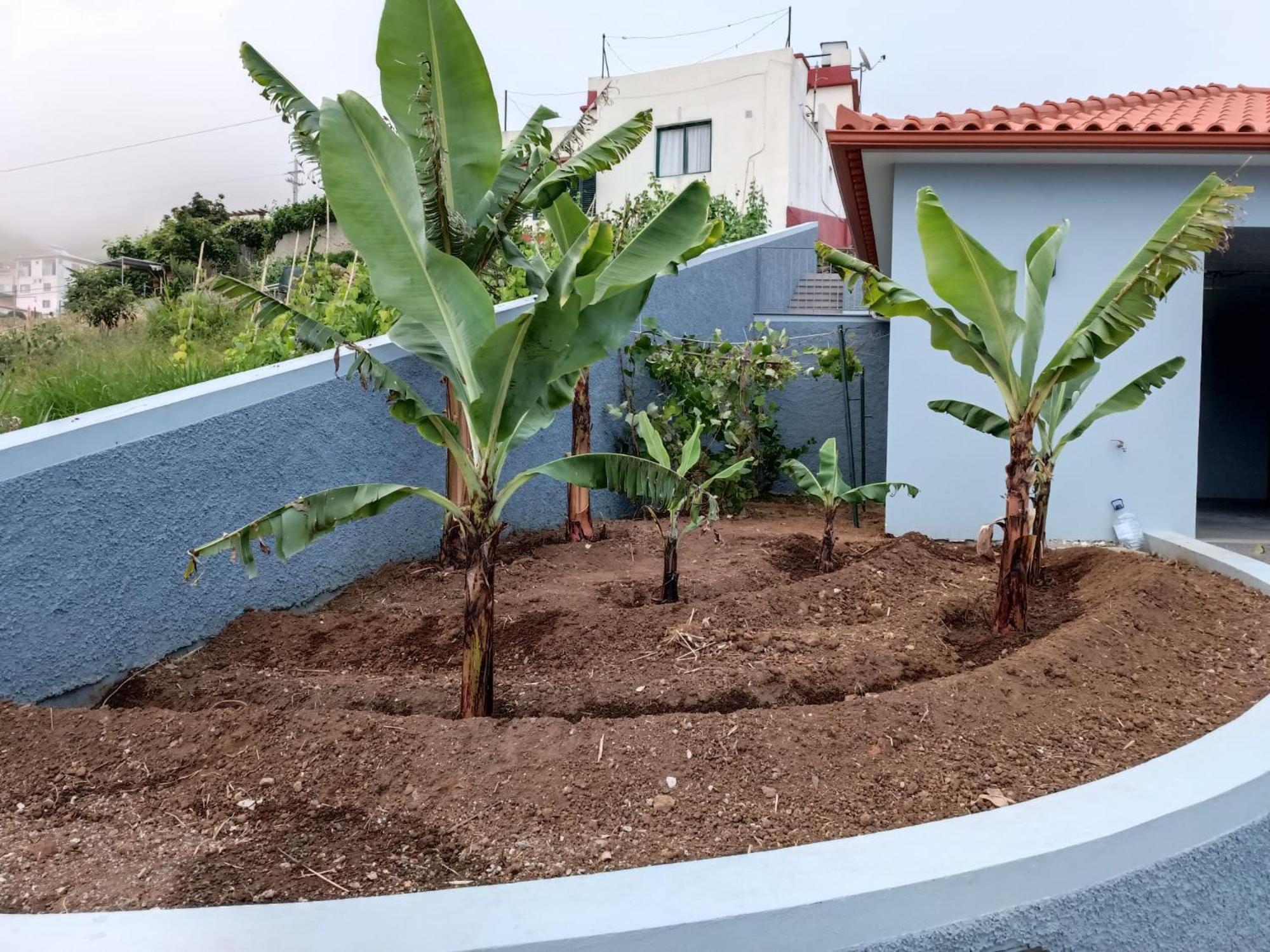 Calheta Paradise Holiday home Arco da Calheta (Madeira)